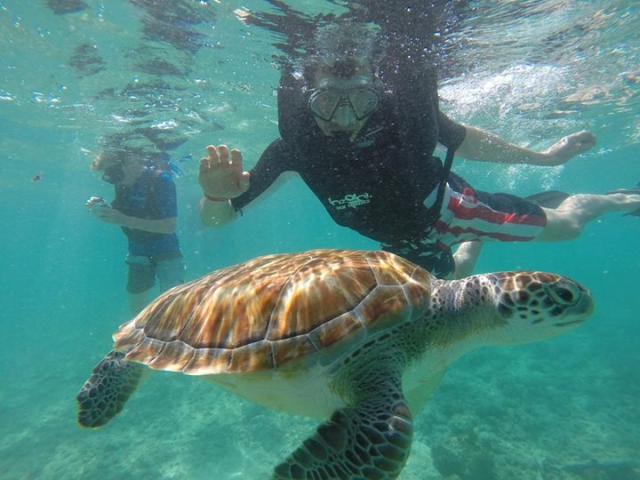  海滩浮潜 